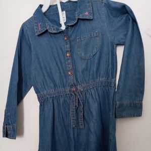 Carter's jeans dress